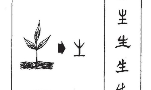 布洛芬价格大约多少钱网—知名的布洛芬价格大约多少钱一袋网站,分享布洛布芬多少钱知识